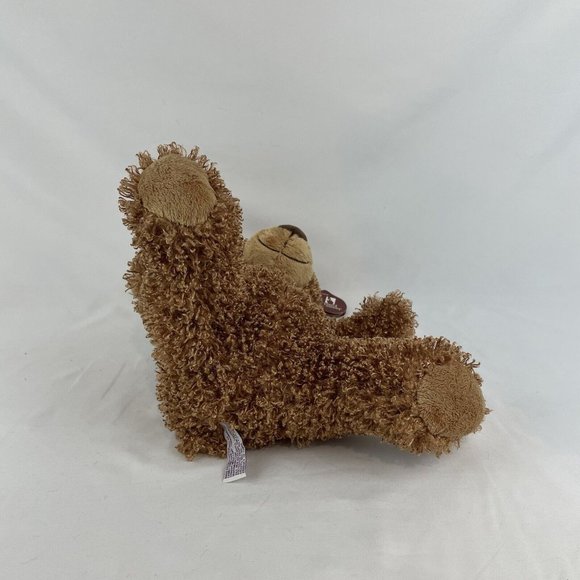 Family Christian Stores Brown Teddy Bear 12” Plush Curly Fur James Fund w/Tags - Picture 5 of 10